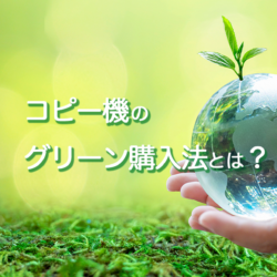 エコ・サステナビリティ